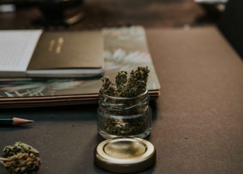 Employment Drug Testing and Marijuana Legalization