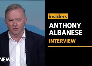 Labor opposes reduction of JobSeeker payment next month: Anthony Albanese | Insiders