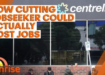 How cuts to JobSeeker could actually cost jobs | 7NEWS