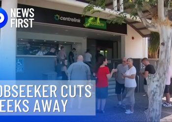 JobSeeker Payment Cuts Could Cost Economy Billions | 10 News First
