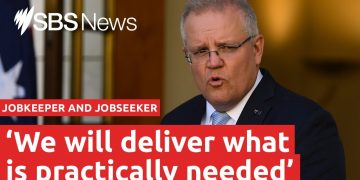 JobKeeper and JobSeeker extended at a reduced rate I SBS News