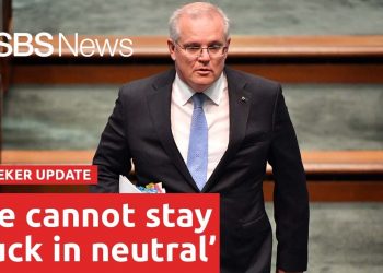 JobSeeker payment to be reduced from December I SBS News