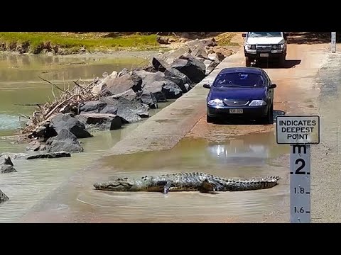 Cahill's Crossing The World's Deadliest Crossing