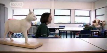 Career Advice on becoming a Veterinary Nurse by Shanade D (Full Version)