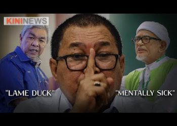 #KiniNews | Umno a 'lame duck', PAS is 'mentally sick', says Ibrahim Ali