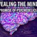 Revealing the Mind: The Promise of Psychedelics