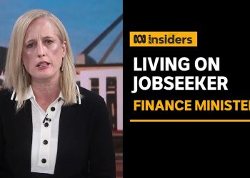 Finance Minister admits it’s 'tough' to live on JobSeeker | Insiders | ABC News