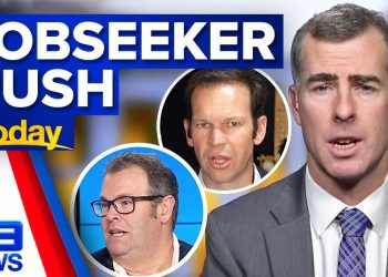 Four Labor MPs pushing for JobSeeker payments increase | 9 News Australia