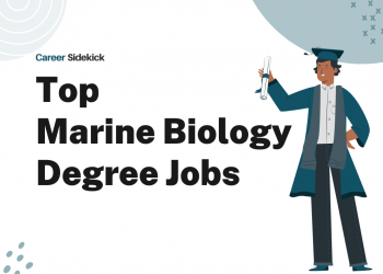 Top 15 Marine Biology Degree Jobs – Career Sidekick