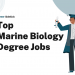 Top 15 Marine Biology Degree Jobs – Career Sidekick
