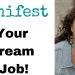 Manifest Your Dream Job – Focus Wheel