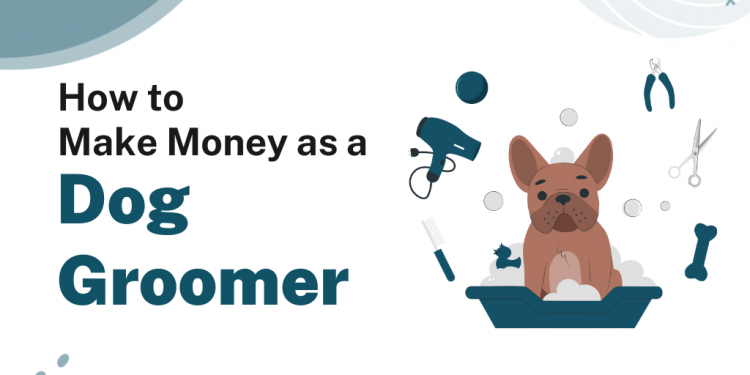 How to Make Money as a Dog Groomer – Career Sidekick