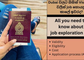 Dubai Job Seeker Visa 2022| Validity | Eligibility | Cost | Full Process | New UAE Visa | Dubai Job