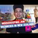 Housekeeping Jobs in New Zealand, Job Vacancies – Oct 2023 – SEEK