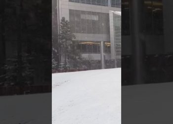 #snow #canada #calgary #frist