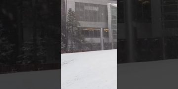 #snow #canada #calgary #frist