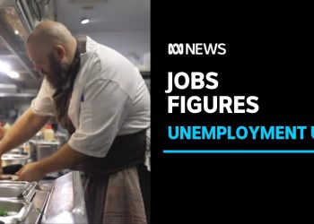 Australia's booming jobs market starting to ease | The Business | ABC News
