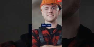 Austria Job Seeker | Free Visa | Austria Work Permit | Europe | #shorts | #austria