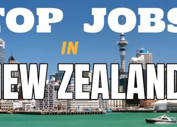 Process to Apply Jobs in New Zealand | Top Jobs in New Zealand | Applying Jobs in New Zealand