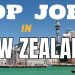 Process to Apply Jobs in New Zealand | Top Jobs in New Zealand | Applying Jobs in New Zealand