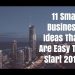 11 Small Business Ideas That Are Easy To Start 2017