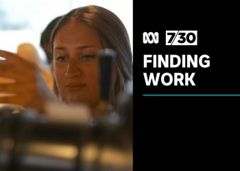 Albanese government may overhaul the privatised employment services scheme | 7.30