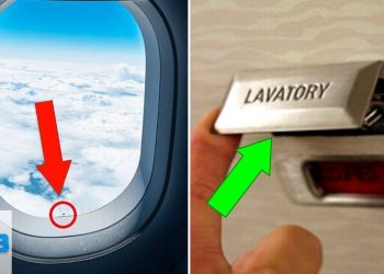 TheHUB Live – Amazing Secrets No One Wants You To Know