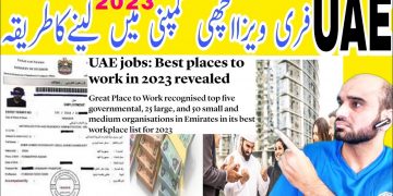 UAE Free Visa jobs: Best places to work in 2023 revealed,Great Place to Work recognised,Best company