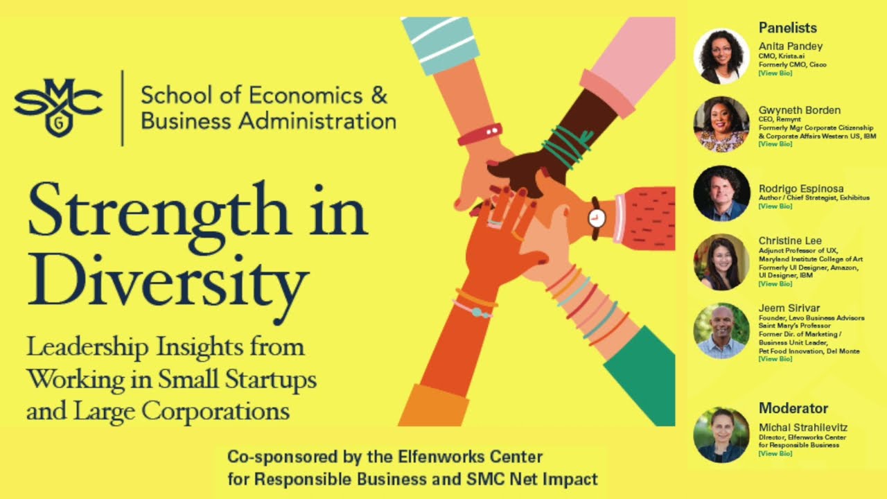 Early Career Advice from Diverse Leaders Working in Small and Large Corporations: A Panel Discussion