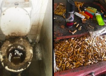 Most Disgusting Homes People Actually Live in