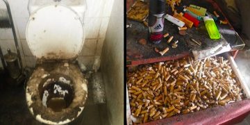 Most Disgusting Homes People Actually Live in