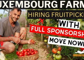 LUXEMBOURG Fruits Picking Jobs with Free Visa Sponsorships Direct Recruiter | NOW HIRING!