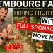 LUXEMBOURG Fruits Picking Jobs with Free Visa Sponsorships Direct Recruiter | NOW HIRING!