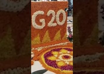 G20 delegates arrive in Jodhpur for first Employment Working Group meeting