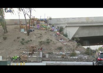 Homeless man creates mini mansion alongside Pacoima freeway