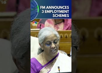 Govt Announces 3 Employment-Linked Incentive Schemes Based On EPFO Enrolment | Budget 2024 | N18S