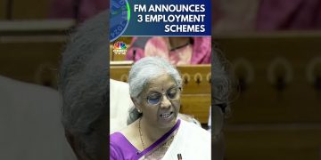 Govt Announces 3 Employment-Linked Incentive Schemes Based On EPFO Enrolment | Budget 2024 | N18S