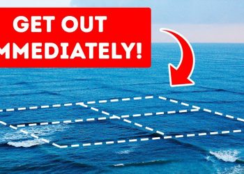 If You See Square Waves, Get Out of the Water!