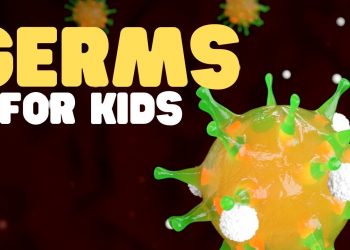 Germs for Kids | Learn all about bacteria, viruses, fungi, and protozoa