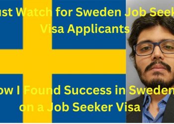 My Job Seeker Visa Journey: Ups and Downs