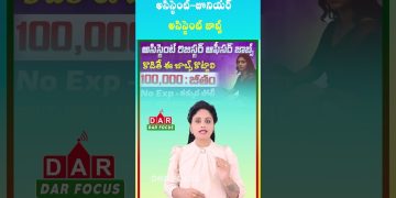 Low Competition Govt Jobs | Assistant & Superintendent Recruitment | Latest updates | DAR FOCUS