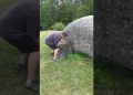 This Rock Fooled Everyone for 30 YEARS!